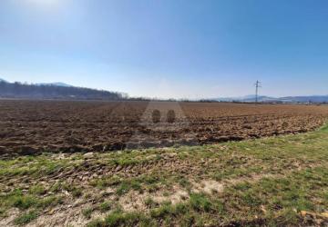 Reality Stavebný na rodinný dom, Beluša