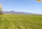 Reality MARTIN-Záturčie pozemok na developerské a komerčné účely 2850m2