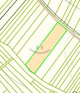 Reality Stavebný na rodinný dom, Dolný Kalník