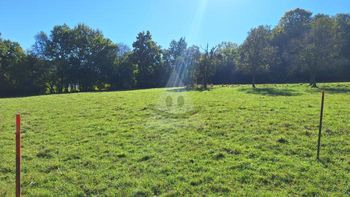 Reality Stavebný na komerčné účely, Nimnica