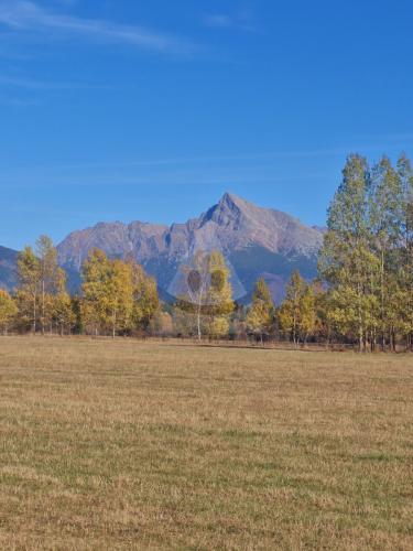 Reality Stavebný na rodinný dom, Pribylina
