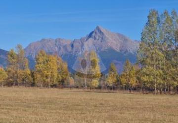 Reality Stavebný na rodinný dom, Pribylina