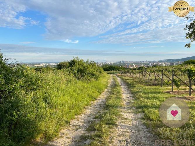 Reality BA/RAČA - Investícia alebo pestovanie vína? Vinohrad na predaj