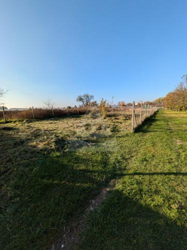 Reality Záhrada, Nová Stráž