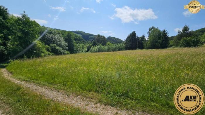 Reality Stavebný pozemok 3650 m2 Zvolen obec Kalinka Detva na predaj