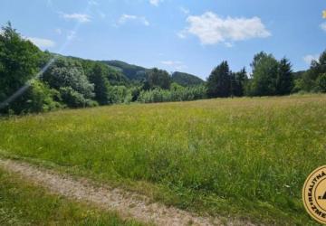 Reality Stavebný pozemok 3650 m2 Zvolen obec Kalinka Detva na predaj