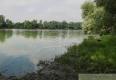 Reality Rekreačný pozemok na predaj pri jazere v obci Vištuk, 30 km od Bratislavy