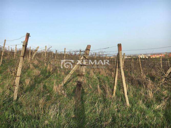 Reality Investičný pozemok 2372 m2 v Rači - "Longtále ( BA III. )