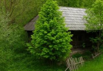 Reality RADO | IBA U NÁS! Na predaj pozemok Lazy pod Makytou-osada Mladoňov