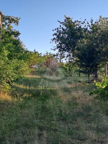 Reality Stavebný na rodinný dom, Bátorove Kosihy