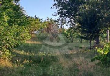 Reality Stavebný na rodinný dom, Bátorove Kosihy