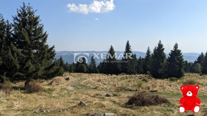 Reality PREDAJ - Pozemok Hriňová