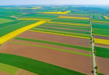 Reality Ponúkame na prenájom oplotený areál o výmere cca do 150 000m2 , prerozdelenie, BA-okolie