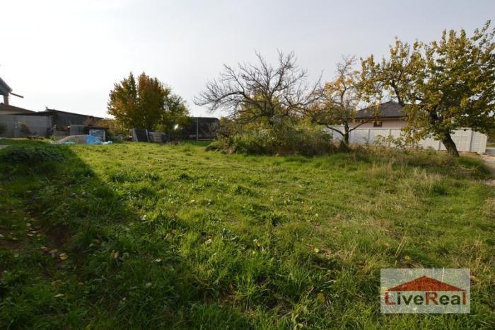 Reality Stavebný pozemok Senec časť Svätý Martin, 742m2, 50% zľava, elektrina, voda