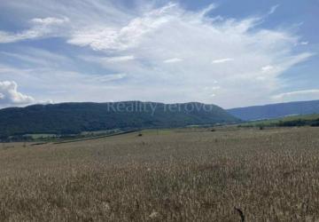 Reality Pozemok pri obci Jovice