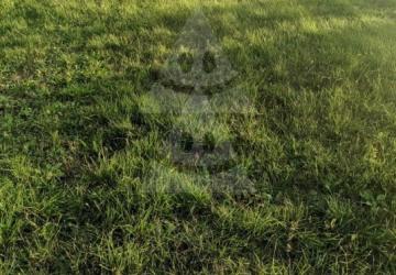 Reality Stavebný na rodinný dom, Komárno, Alžbetínsky ostrov