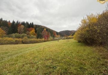 Reality Na predaj rekreačný pozemok Lazy pod Makytou- Čertov 34.442 m2