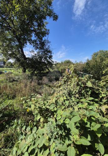 Reality Stavebný na rodinný dom, Bátorove Kosihy