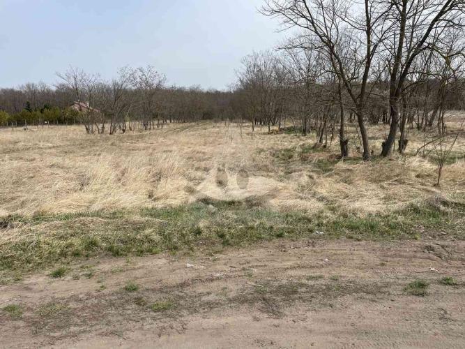 Reality Stavebný na rodinný dom, Marcelová