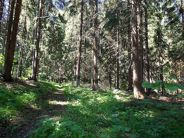 Reality Stavebný na rodinný dom, Ľubica