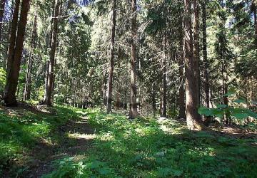 Reality Stavebný na rodinný dom, Ľubica