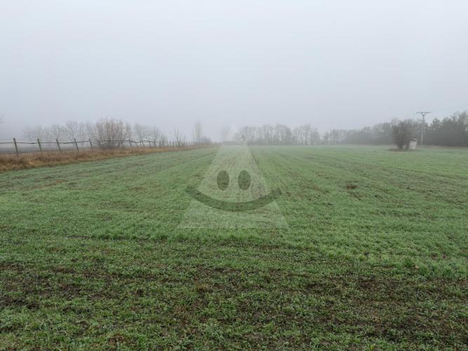 Reality Stavebný na rodinný dom, Nesvady