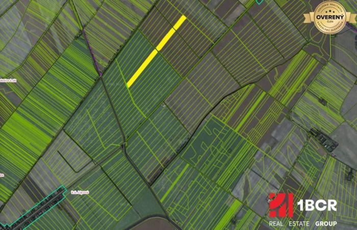 Reality ORNÁ PÔDA, VEĽKÁ VÝMERA, LIPOVÉ