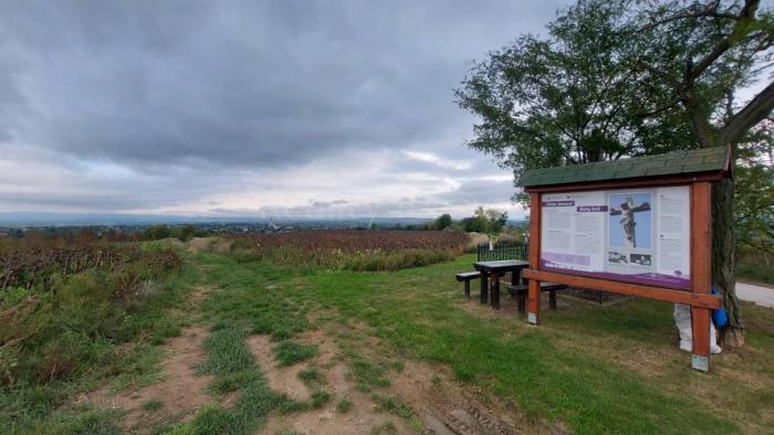 Reality Pozemok vo Svodíne