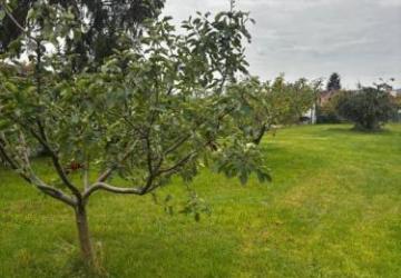 Reality Veľký STAVEBNÝ POZEMOK v centre PEZINKA so zrekonštruovaným domom