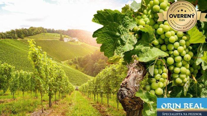 Reality VINOHRAD  - STARÁ HORA