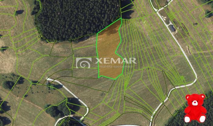 Reality NA PREDAJ Investičný pozemok na Donovaloch