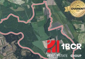 Reality ORNÁ PÔDA, VEĽKÁ VÝMERA, VYSOKÁ PRI MORAVE