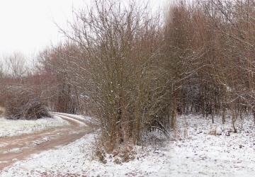 Reality Pozemok(672m2),v katastrál. úz. Pukanec -na predaj