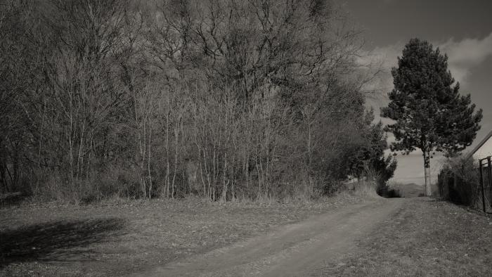 Reality Pozemok(672m2),v katastrál. úz. Pukanec -na predaj