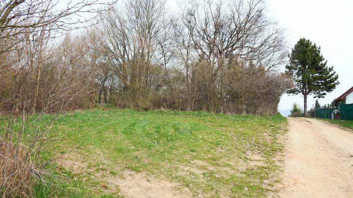 Reality Pozemok(672m2),v katastrál. úz. Pukanec -na predaj