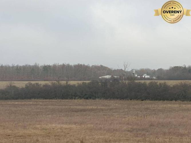 Reality Hľadáte les a lúku v okrese Pezinok? Budmerice