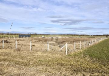 Reality Záhrada, Bratislava, Čunovo