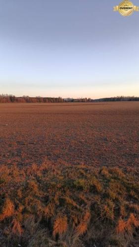 Reality Turčianske Teplice - Diviaky - Orná pôda s výmerou 5571 m2