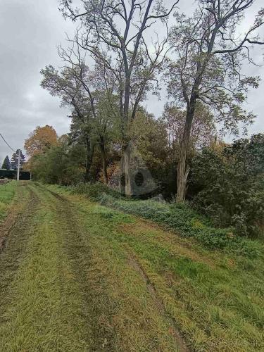 Reality Záhrada, Tomčany