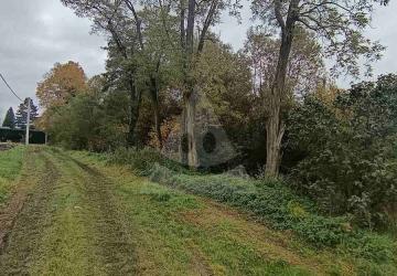 Reality Záhrada, Tomčany