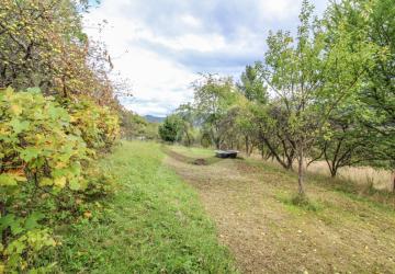 Reality Záhrada, Púchov