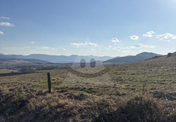 Reality Stavebný na rodinný dom, Malá Čierna