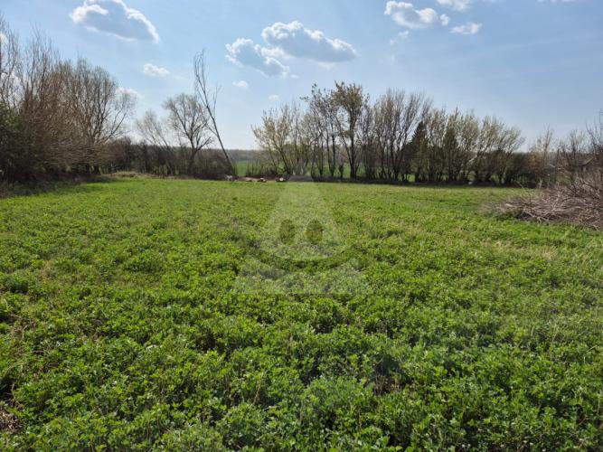 Reality Stavebný na rodinný dom, Veľký Ostrov