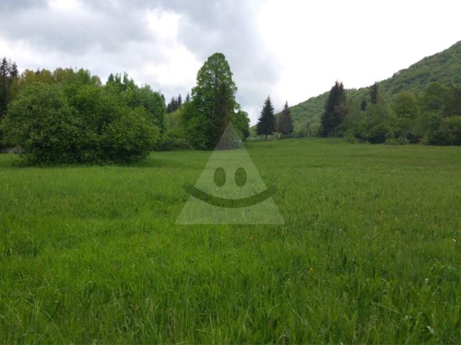 Reality Stavebný na rodinný dom, Belá