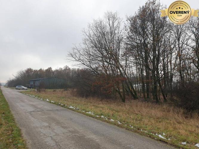 Reality Hľadáte les a lúku v okrese Pezinok? Budmerice