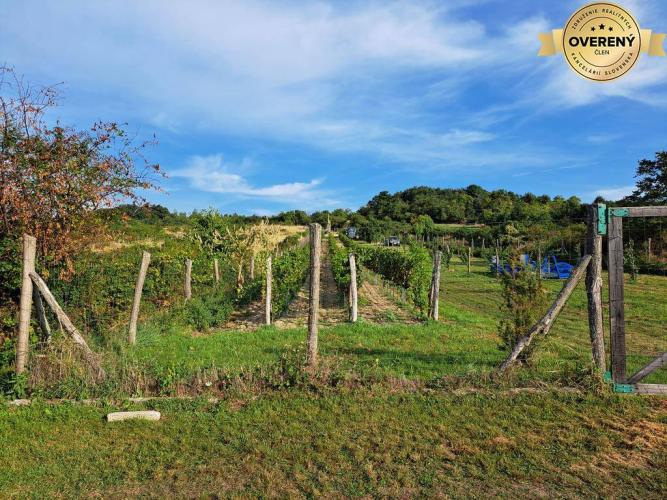 Reality Oplotený obrábaný vinohrad so studňou a kontajnerom.