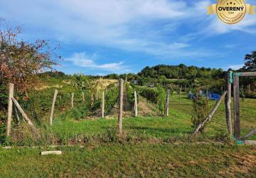 Reality Oplotený obrábaný vinohrad so studňou a kontajnerom.