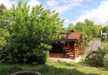 Reality Záhrada s drevenou chatkou – Devínske Jazero