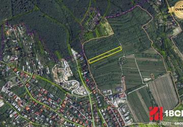 Reality VINICA/DLHODOBÁ INVESTÍCIA, RAČA - FAJDLBERG