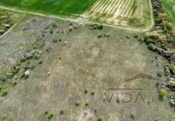 Reality Pozemok v Modre s výmerou až 58.977 m2